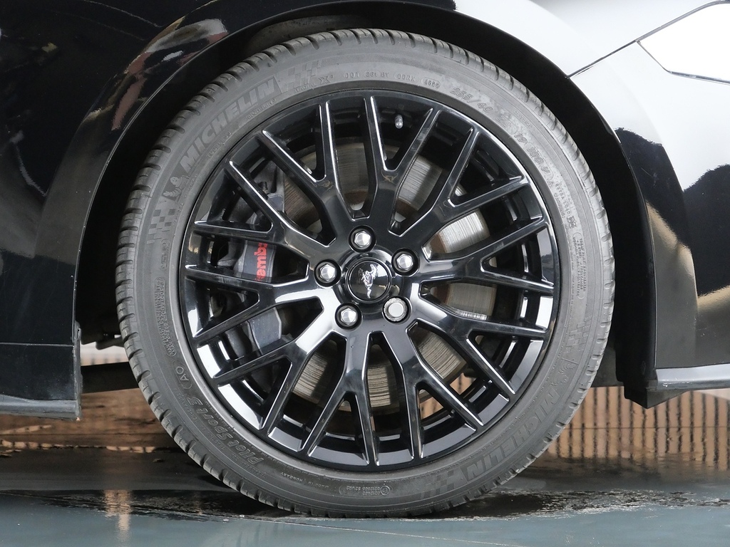 Ford Mustang Black #41