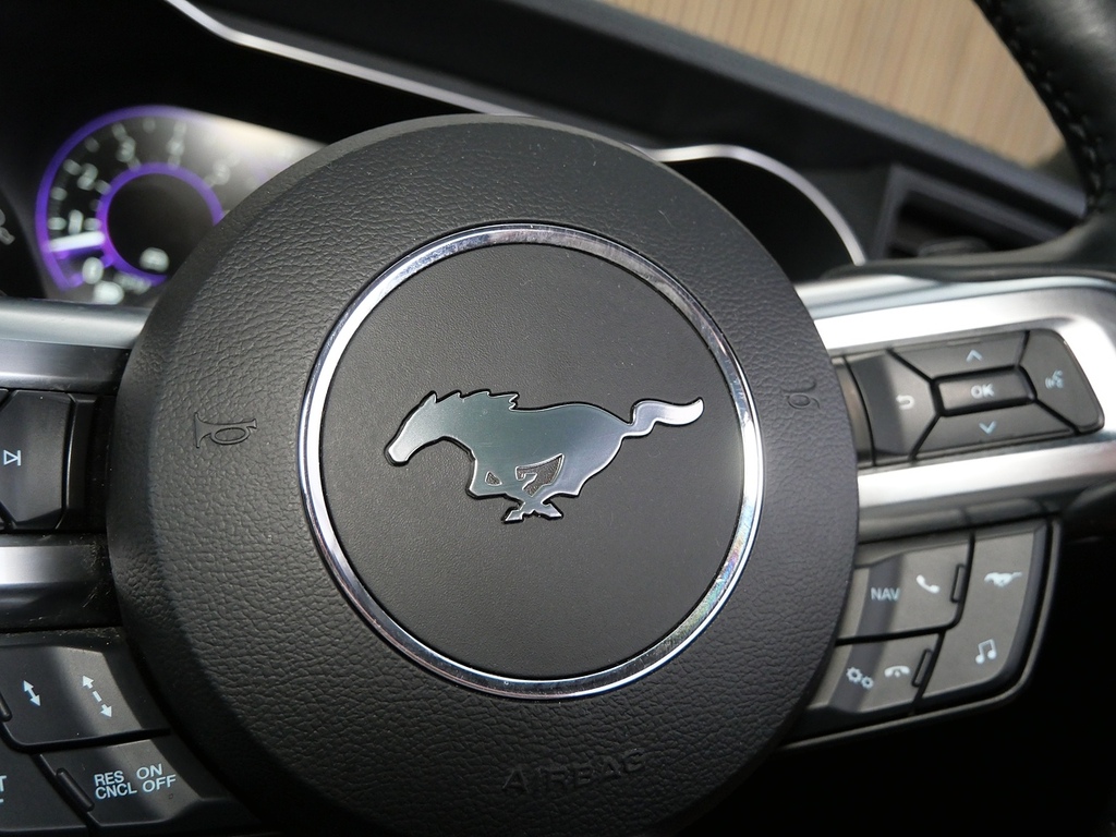 Ford Mustang Black #30