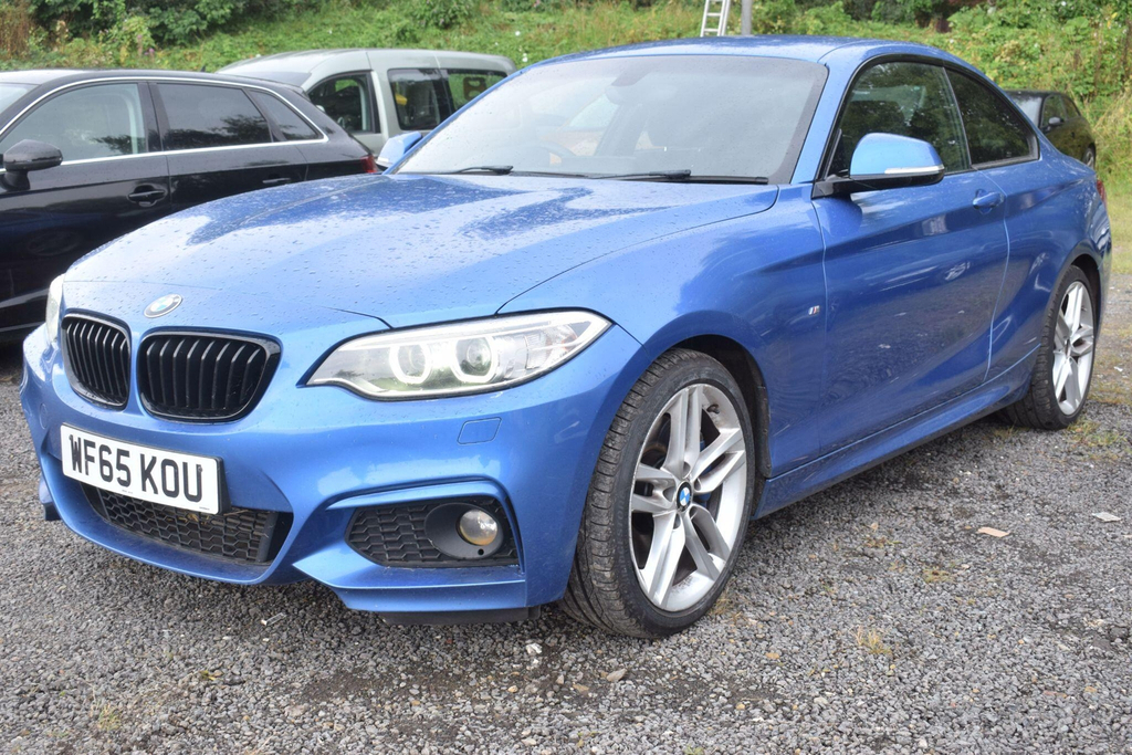 BMW 2 Series 2.0 M Sport Euro 6 Ss Blue #5