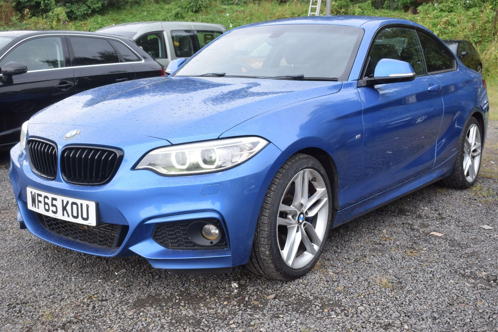 BMW 2 Series   #12