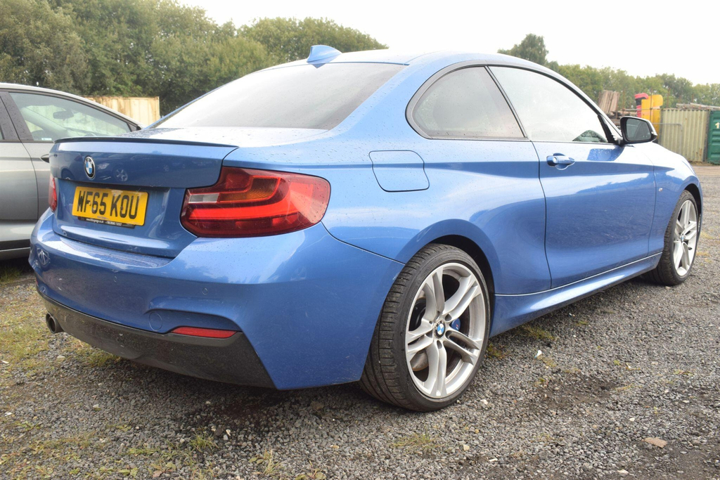 BMW 2 Series 2.0 M Sport Euro 6 Ss Blue #2