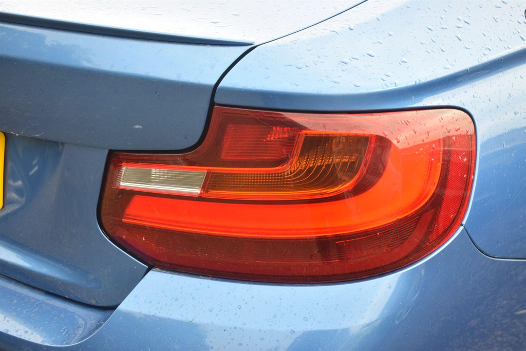 BMW 2 Series 2.0 M Sport Euro 6 Ss Blue #6