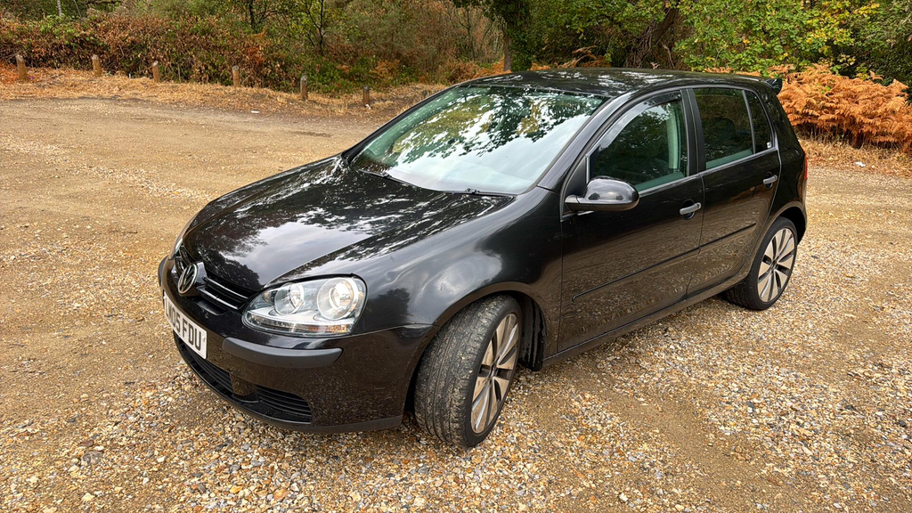 Volkswagen Golf Hatchback Grey #5