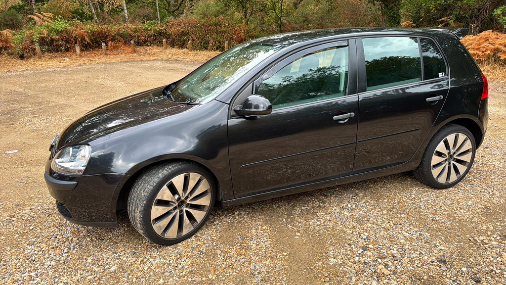 Volkswagen Golf Hatchback Grey #6