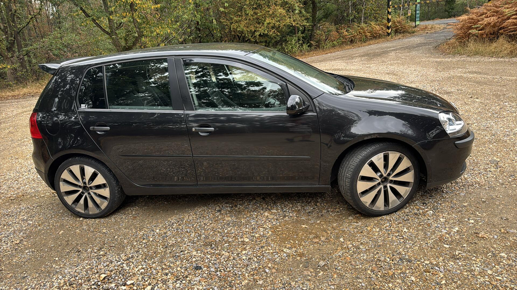Volkswagen Golf Hatchback Grey #15