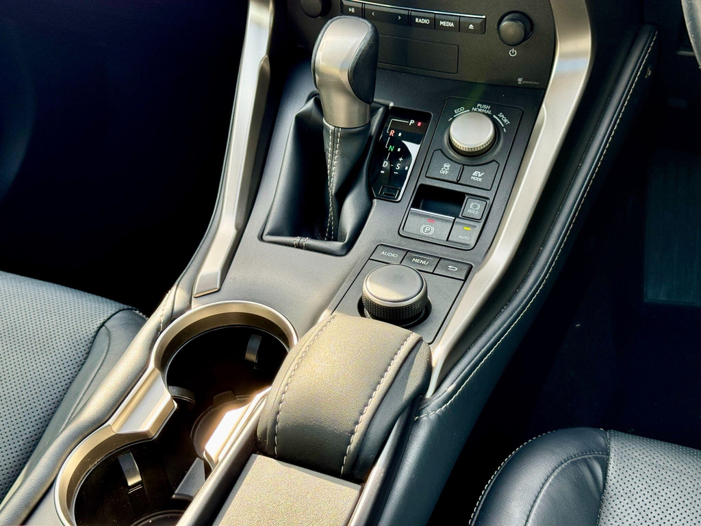 Lexus NX Blue #21