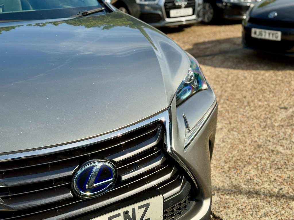 Lexus NX Blue #12