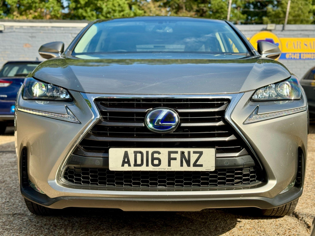 Lexus NX Blue #13