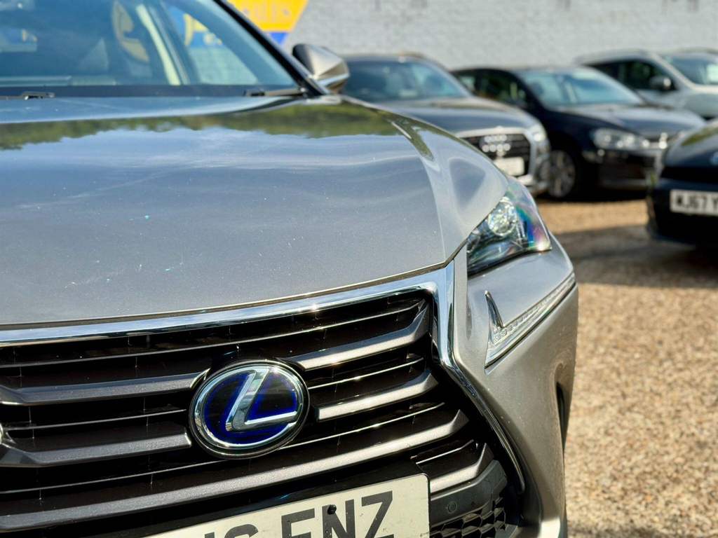 Lexus NX Blue #15