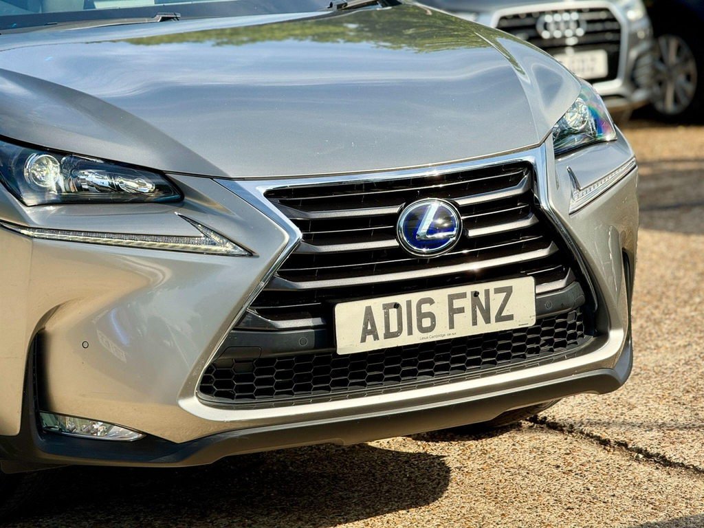 Lexus NX Blue #11