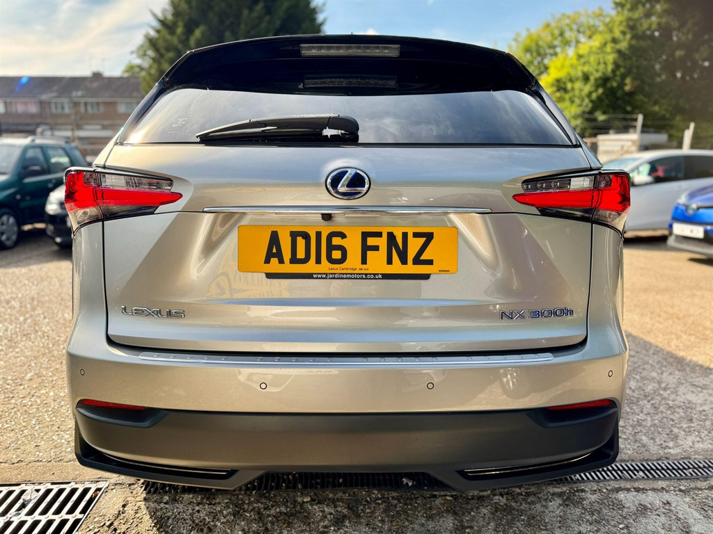 Lexus NX Blue #17