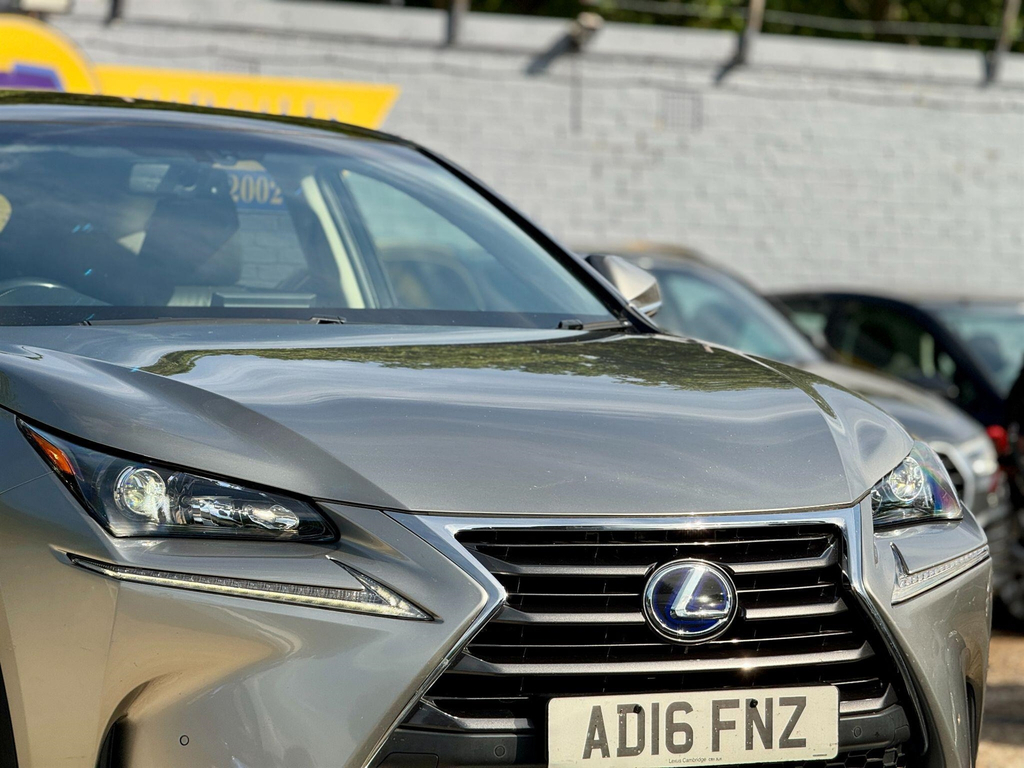 Lexus NX Blue #2