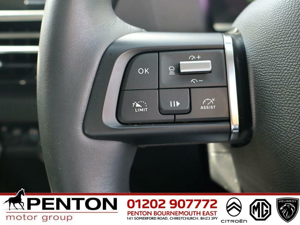 Citroen e-C4 E-c4 X Shine Grey #14