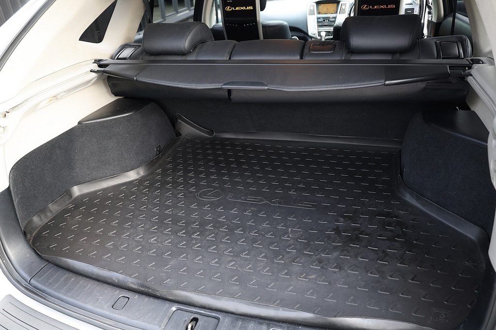 Lexus RX Silver #26