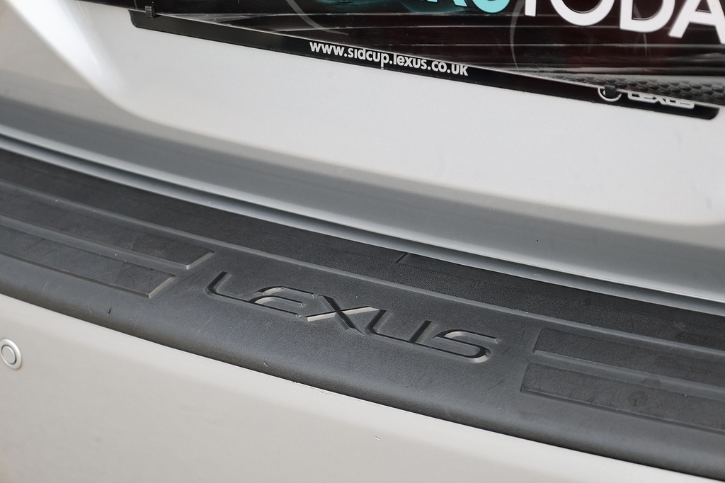Lexus RX Silver #44