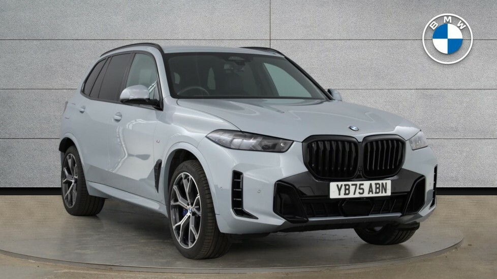 BMW X5 X5 Xdrive30d M Sport Grey