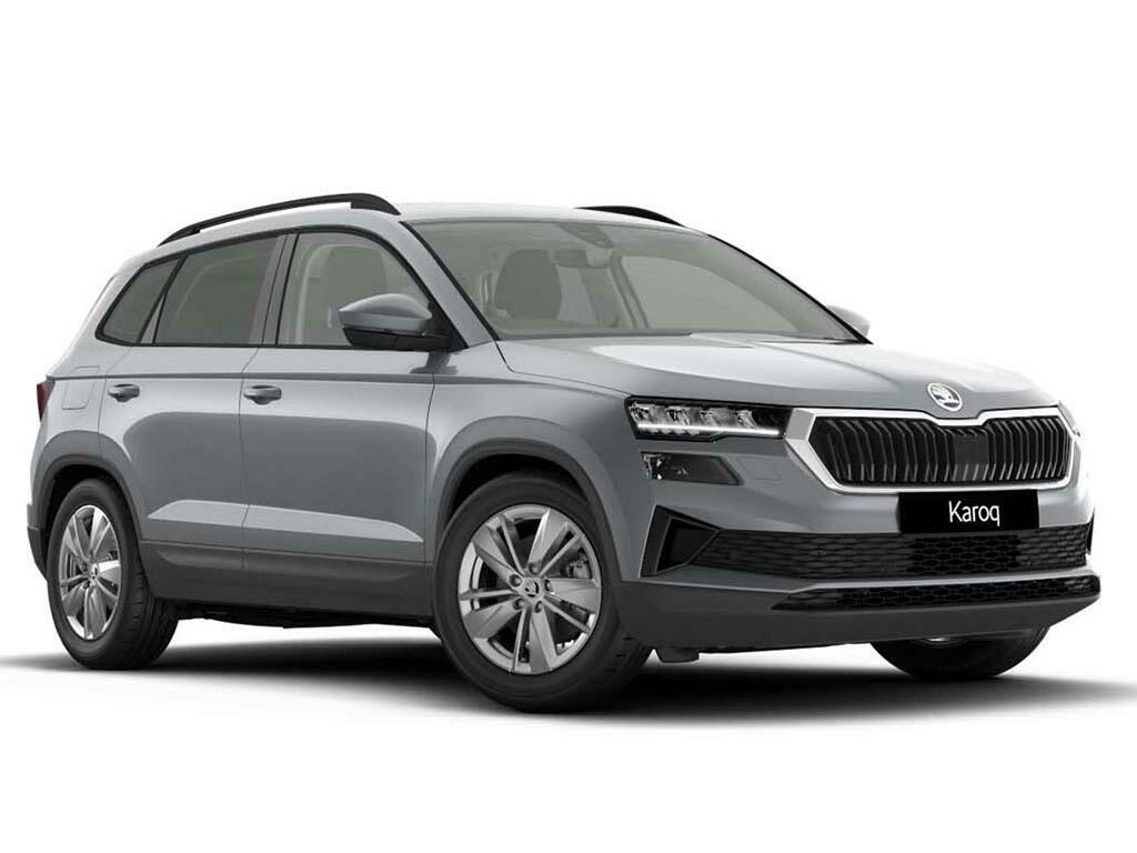 Skoda Karoq Karoq Se Edition 1.0 Tsi 116 Ps 6G Man Silver