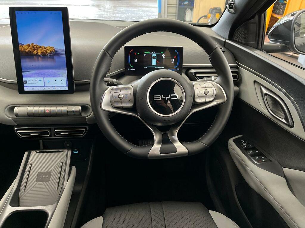 Byd Dolphin Automatic Blue #14