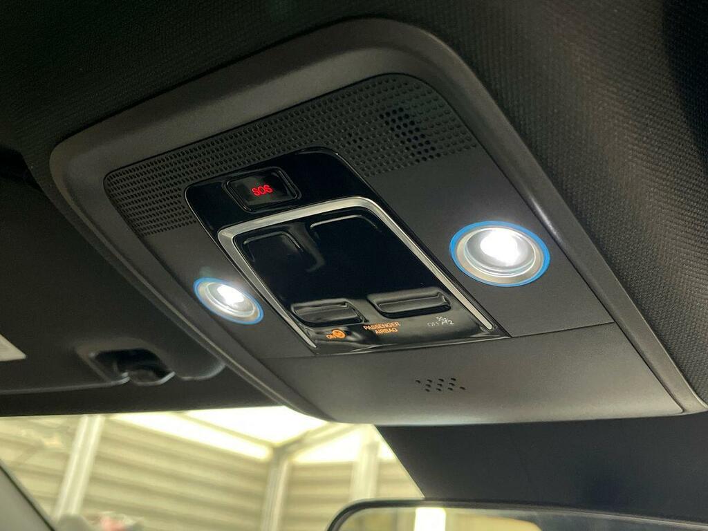 Byd Dolphin Automatic Blue #17