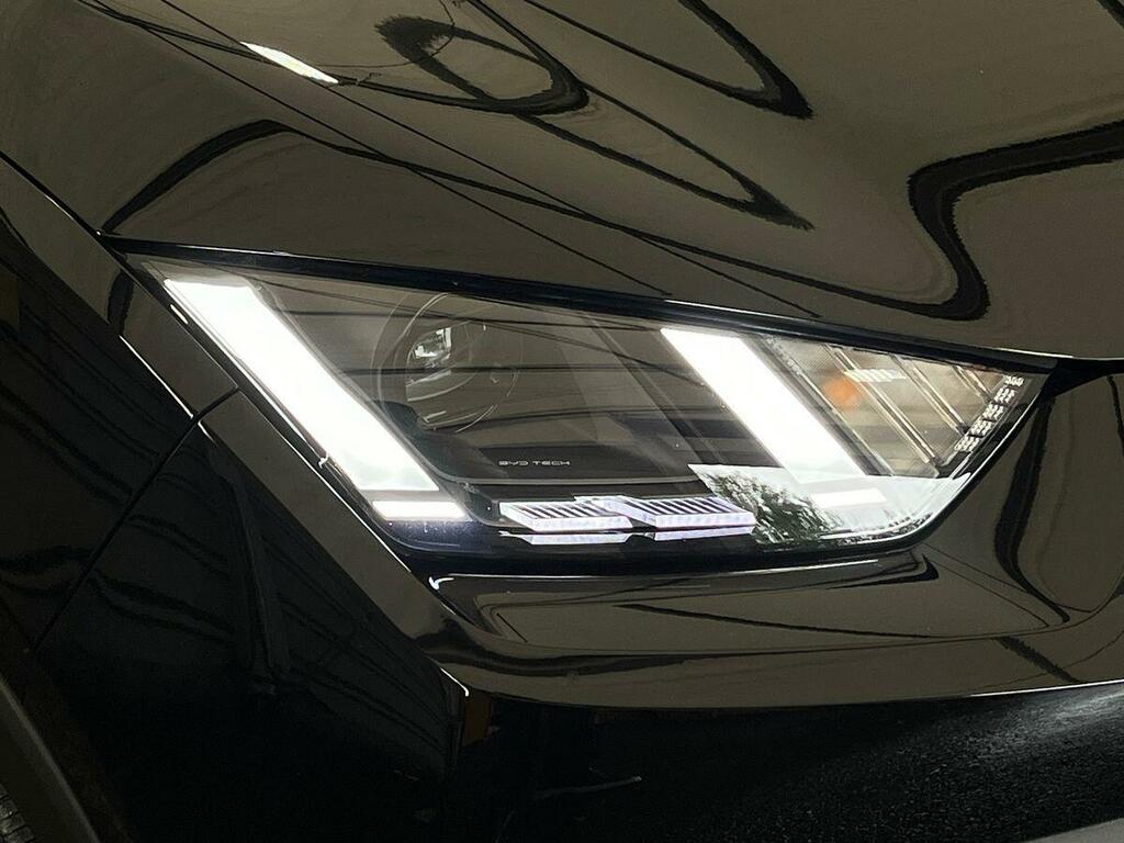 Byd Dolphin Automatic Blue #18