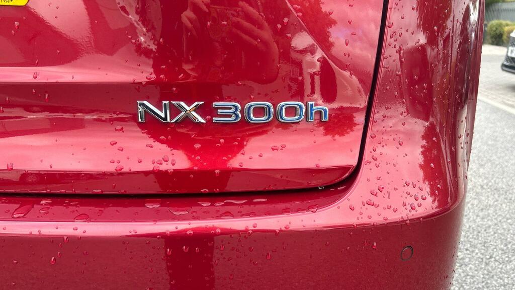 Lexus NX 300H Grey #42