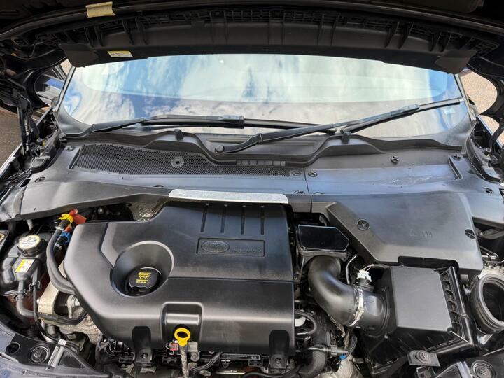 Land Rover Range Rover Evoque D150 R-dynamic White #46