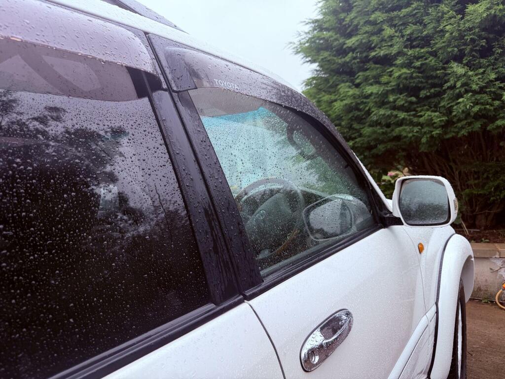 Toyota Land Cruiser Amazon Amazon Td Black #19