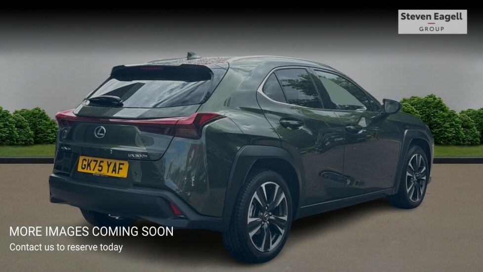 Lexus UX 2.0 300H Premium Plus E-cvt Euro 6 Ss GK75YAF Green #4