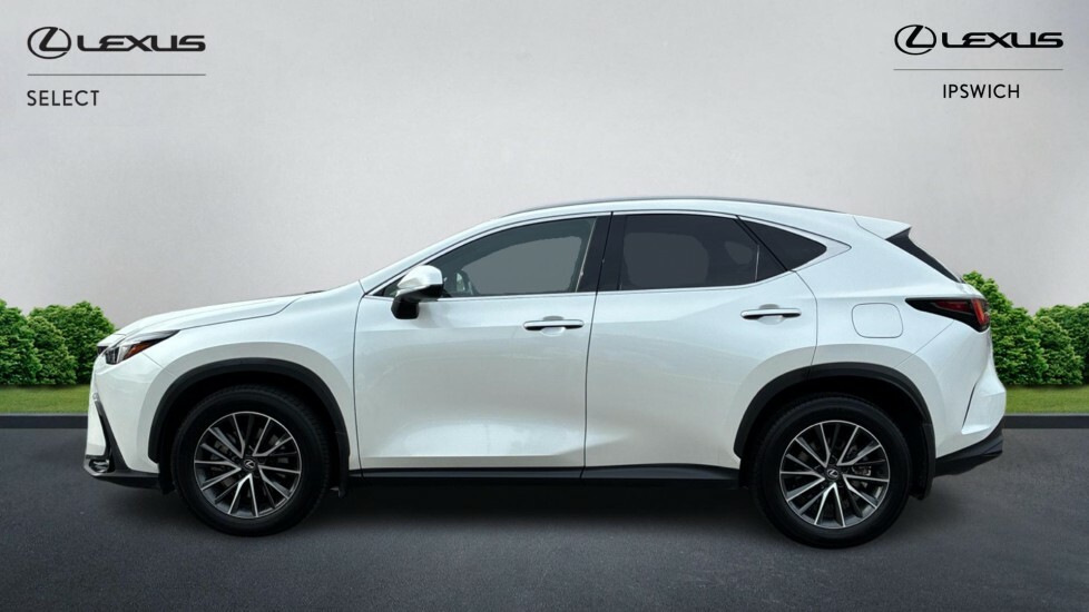 Lexus NX 2.5 450H 18.1Kwh E-cvt 4Wd Euro 6 Ss White #3