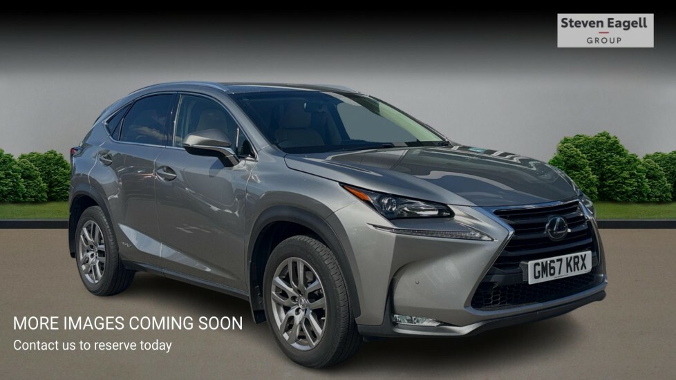 Lexus NX 2.5 300H Luxury E-cvt 4Wd Euro 6 Ss Silver