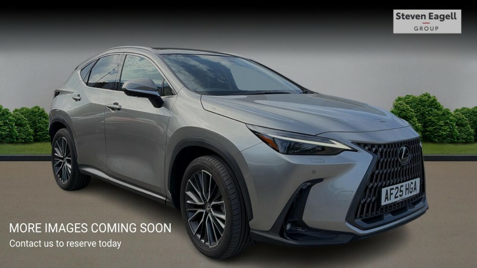 Lexus NX 2.5 450H 18.1Kwh Takumi E-cvt 4Wd Euro 6 Ss Silver
