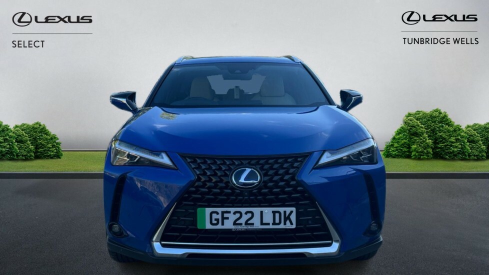 Lexus UX 300E 54.3Kwh GF22LDK Blue #4