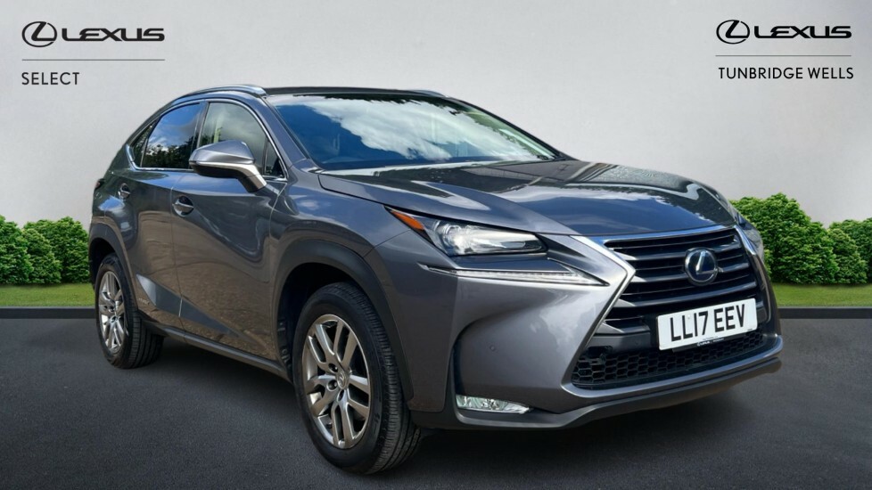 Lexus NX 2.5 300H Luxury E-cvt 4Wd Euro 6 Ss Grey