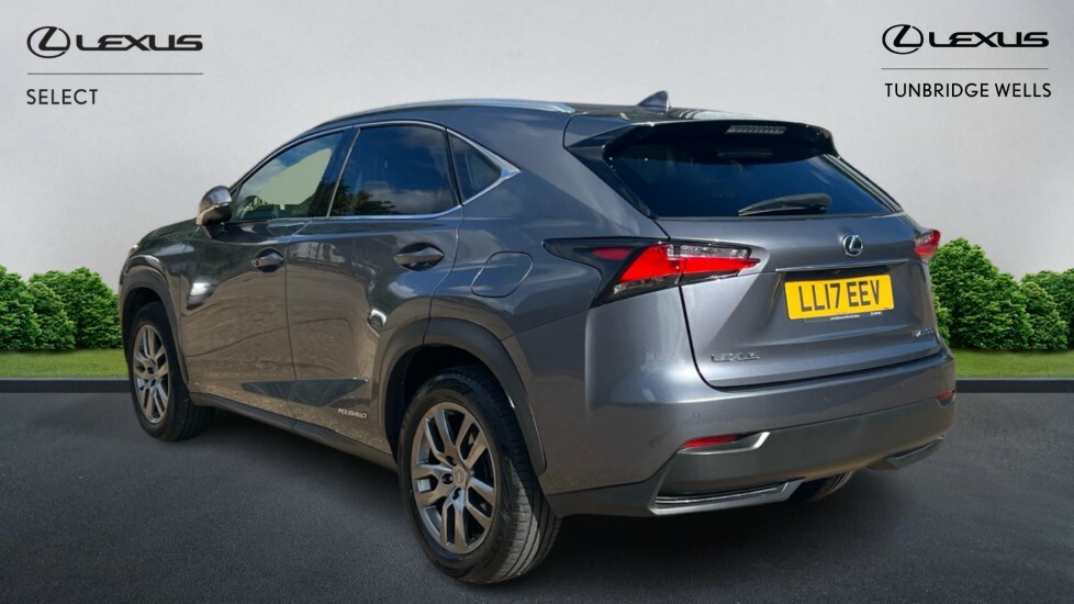 Lexus NX 2.5 300H Luxury E-cvt 4Wd Euro 6 Ss LL17EEV Grey #2