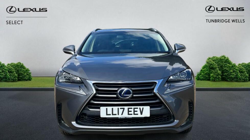 Lexus NX 2.5 300H Luxury E-cvt 4Wd Euro 6 Ss LL17EEV Grey #4