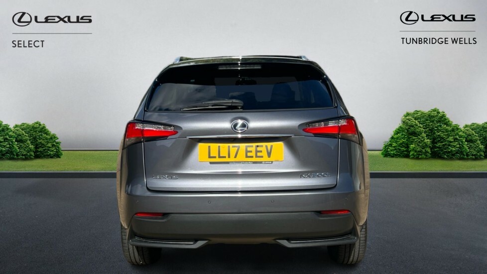 Lexus NX 2.5 300H Luxury E-cvt 4Wd Euro 6 Ss LL17EEV Grey #5