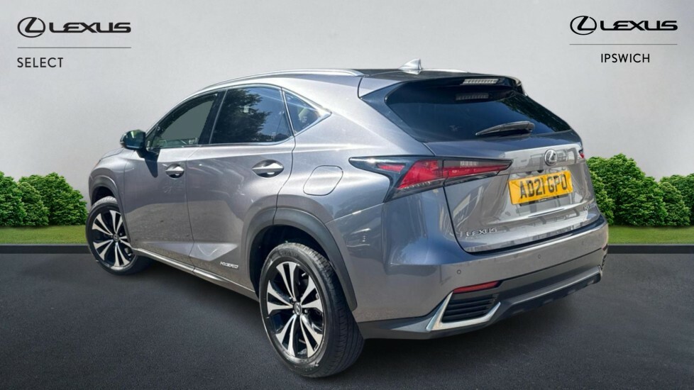 Lexus NX 300H Grey #2