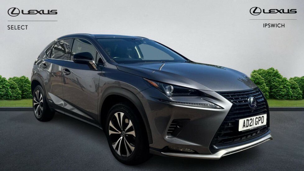 Lexus NX 300H Grey #1