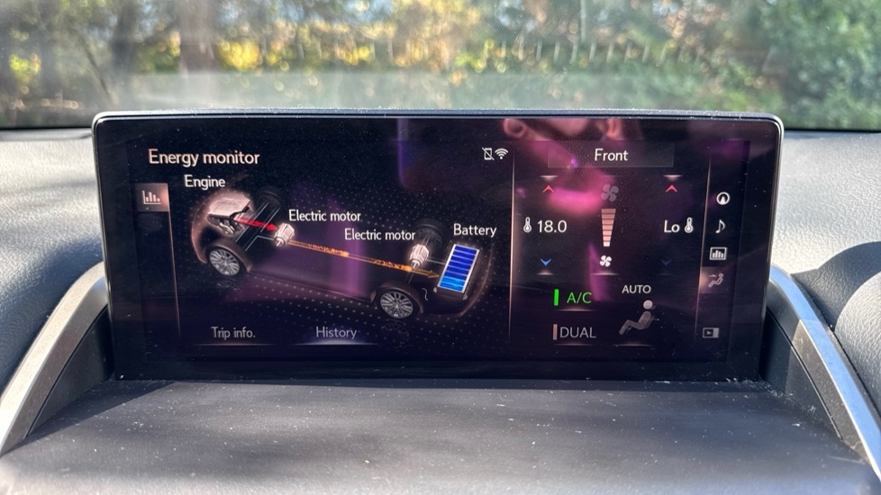 Lexus NX 300H Grey #41