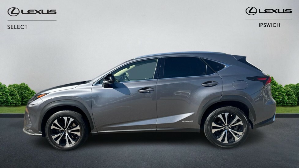 Lexus NX 300H Grey #3