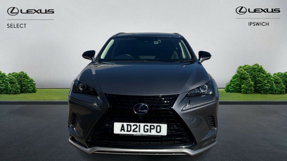Lexus NX 300H Grey #4