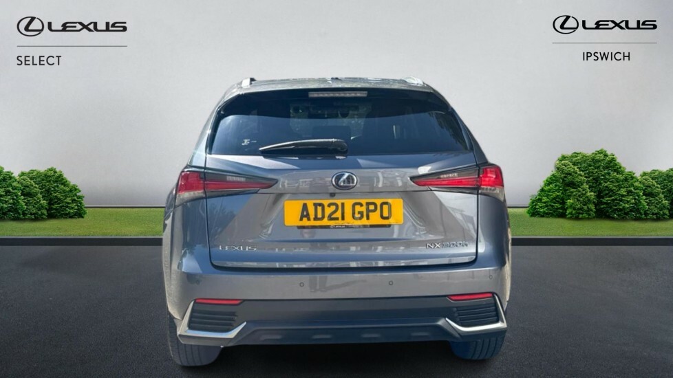 Lexus NX 300H Grey #5