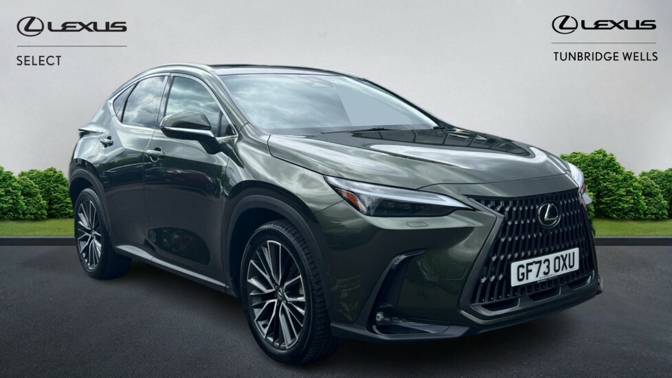Lexus NX 2.5 350H Takumi E-cvt 4Wd Euro 6 Ss Green