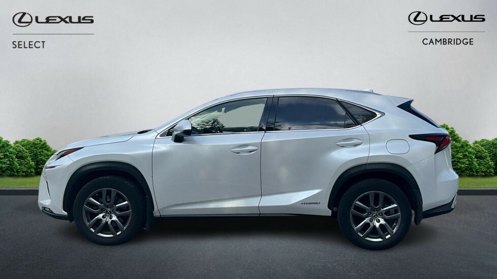 Lexus NX 2.5 300H Premium Suv Hybrid E-cvt 4Wd E White #3