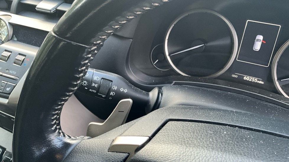 Lexus NX  Black #31