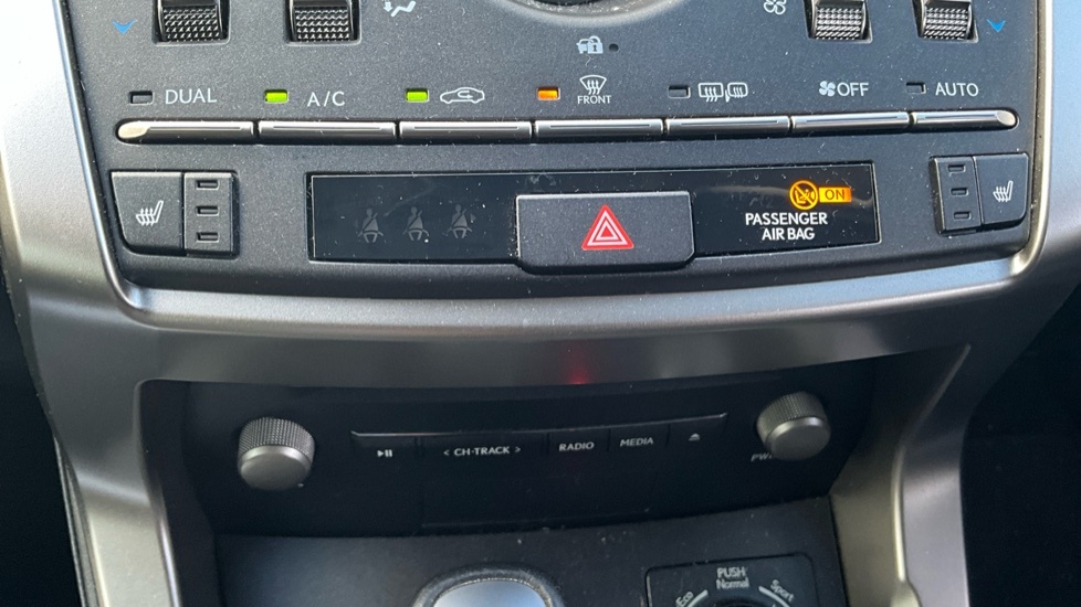 Lexus NX  Black #38