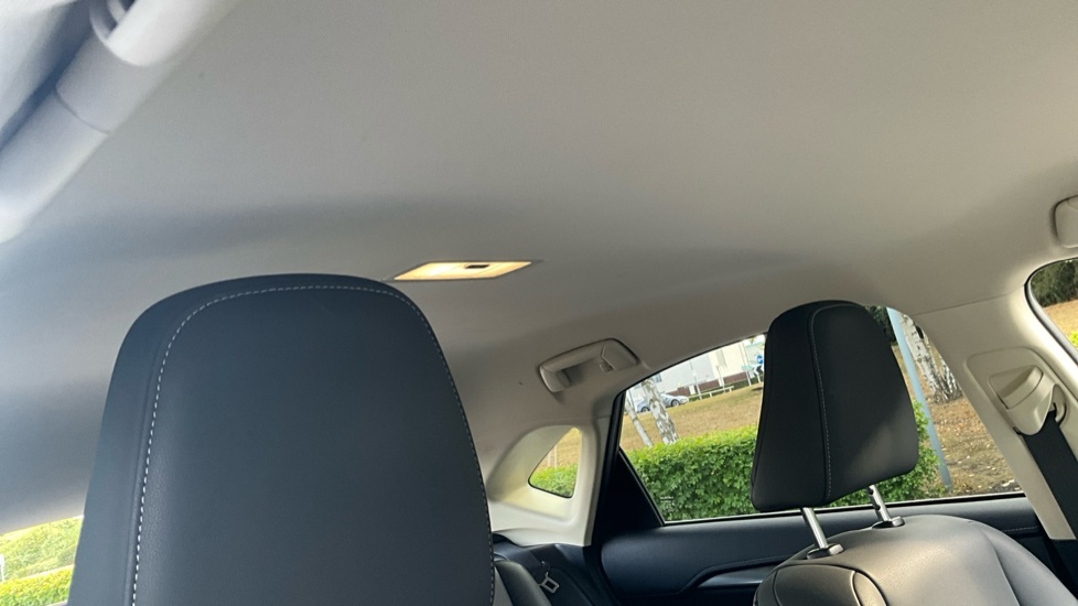 Lexus NX  Black #20