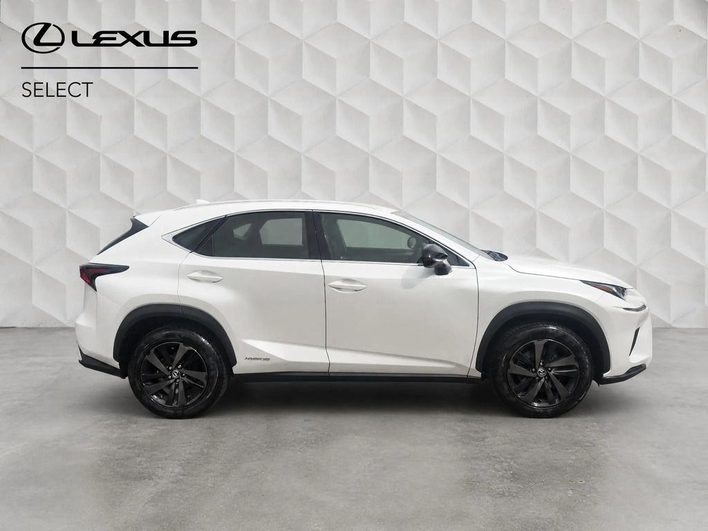 Lexus NX 2.5 300H Sport E-cvt 4Wd Euro 6 Ss  #2