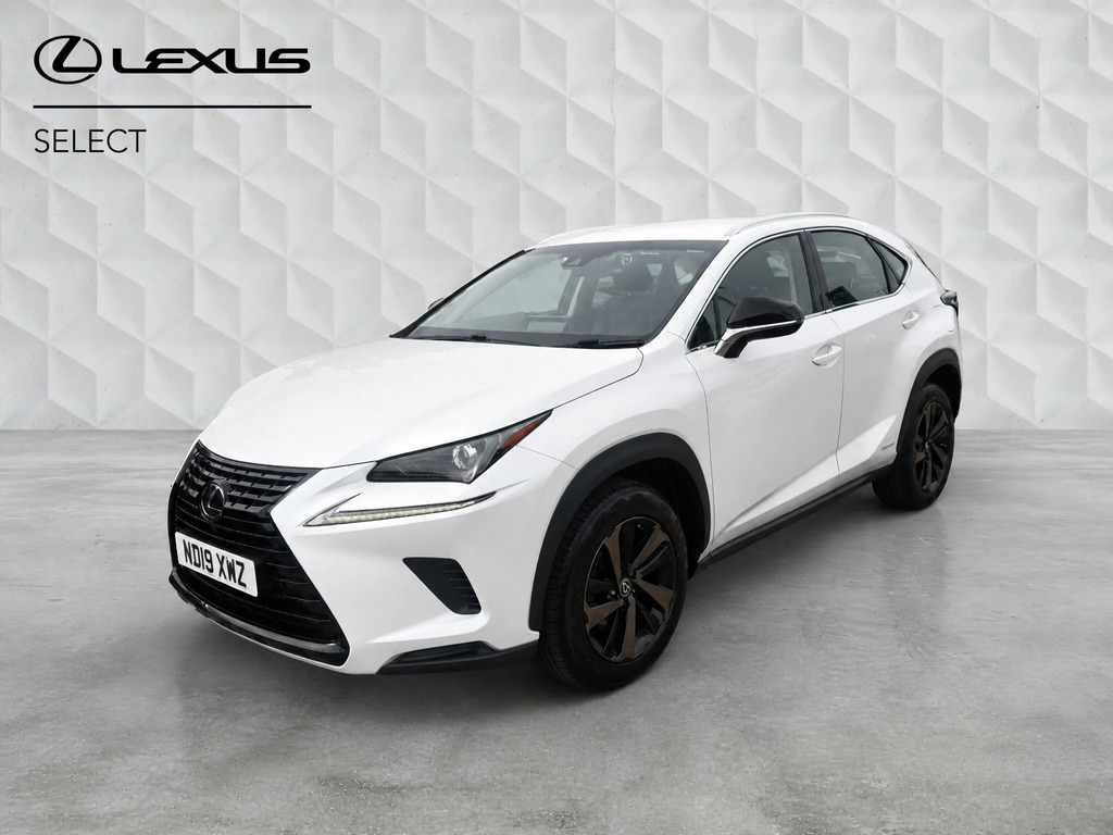 Lexus NX Premium Pack Grey #7