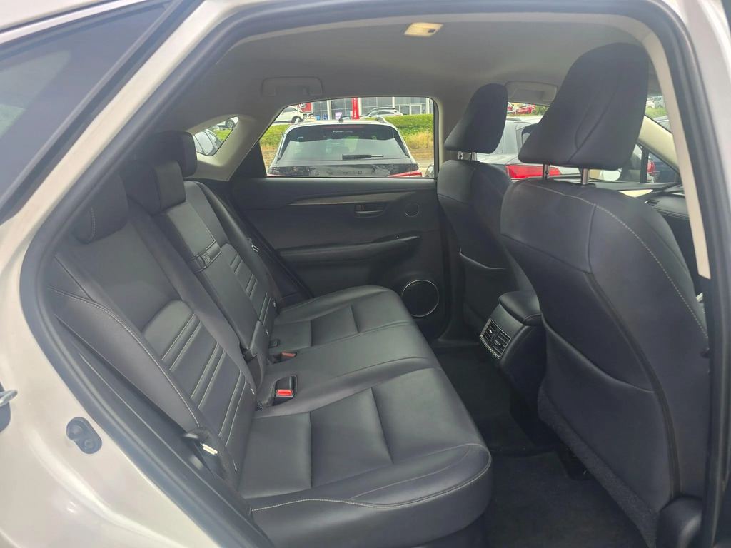 Lexus NX Premium Pack Grey #14